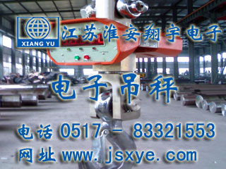 上海膠帶公司定購(gòu)江蘇淮安翔宇電子吊秤XYES-OCS20T電子吊秤